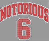 Noto Worlds Team Hoodies- Black (Athletes only)